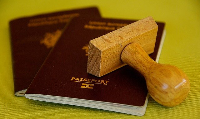 cestovní pasy